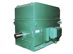 YKS4504-2/1000KWYMPS磨煤机电机