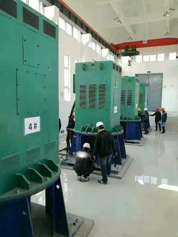YKS4504-2/1000KW某污水处理厂使用我厂的立式高压电机安装现场